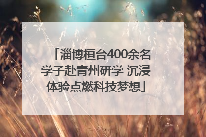 淄博桓台400余名学子赴青州研学 沉浸体验点燃科技梦想