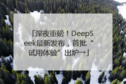 深夜重磅！DeepSeek最新发布，首批“试用体验”出炉→