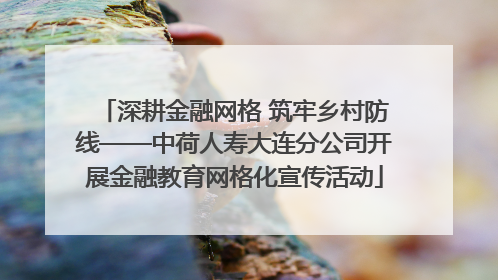 深耕金融网格 筑牢乡村防线——中荷人寿大连分公司开展金融教育网格化宣传活动