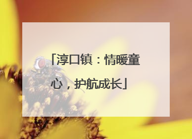 淳口镇：情暖童心，护航成长