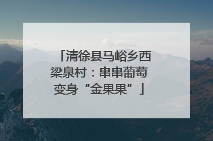 清徐县马峪乡西梁泉村：串串葡萄变身“金果果”