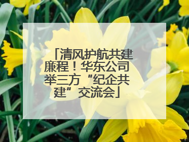 清风护航共建廉程！华东公司举三方“纪企共建”交流会