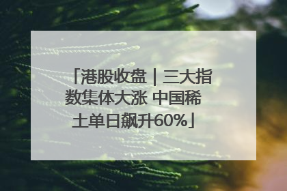 港股收盘｜三大指数集体大涨 中国稀土单日飙升60%