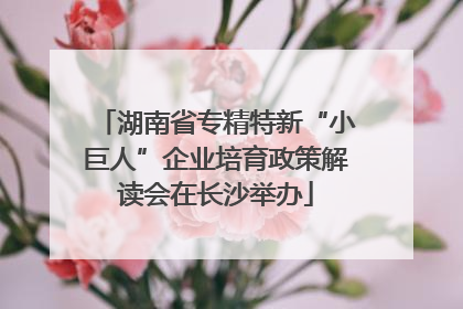湖南省专精特新“小巨人”企业培育政策解读会在长沙举办