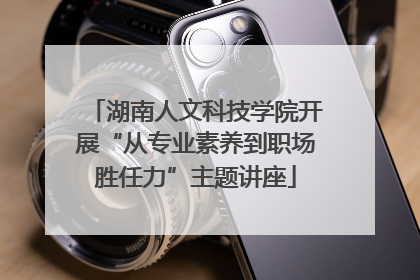 湖南人文科技学院开展“从专业素养到职场胜任力”主题讲座