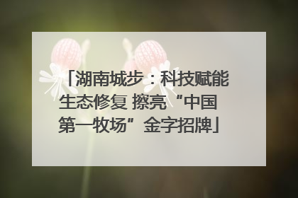 湖南城步：科技赋能生态修复 擦亮“中国第一牧场”金字招牌