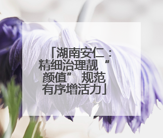 湖南安仁：精细治理靓“颜值” 规范有序增活力
