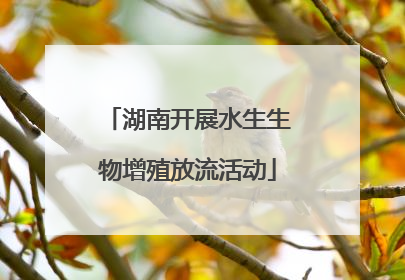湖南开展水生生物增殖放流活动