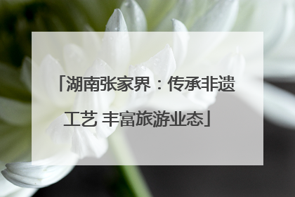 湖南张家界：传承非遗工艺 丰富旅游业态