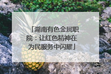 湖南有色金属职院：让红色精神在为民服务中闪耀