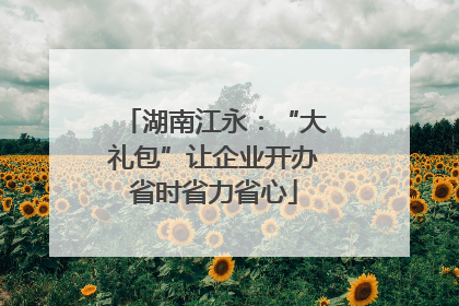 湖南江永：“大礼包”让企业开办省时省力省心