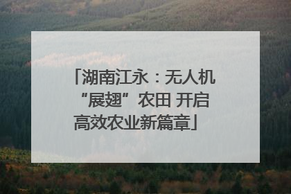 湖南江永：无人机“展翅”农田 开启高效农业新篇章