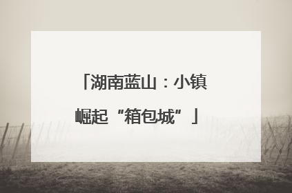 湖南蓝山：小镇崛起“箱包城”