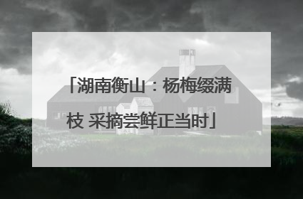 湖南衡山：杨梅缀满枝 采摘尝鲜正当时