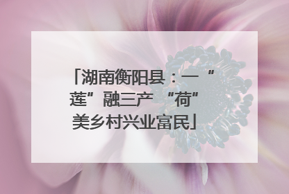 湖南衡阳县：一“莲”融三产 “荷”美乡村兴业富民