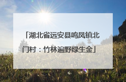 湖北省远安县鸣凤镇北门村：竹林遍野绿生金