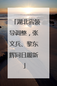 湖北省领导调整，张文兵、黎东辉同日履新