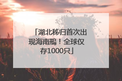 湖北秭归首次出现海南鳽！全球仅存1000只