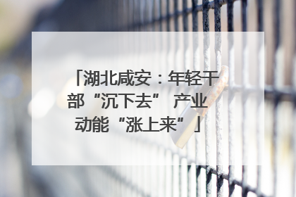 湖北咸安：年轻干部“沉下去” 产业动能“涨上来”