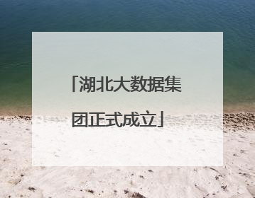 湖北大数据集团正式成立