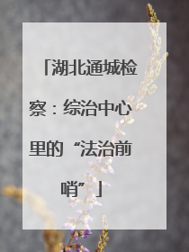 湖北通城检察：综治中心里的“法治前哨”