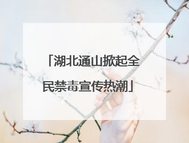 湖北通山掀起全民禁毒宣传热潮