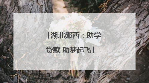湖北郧西:助学贷款 助梦起飞