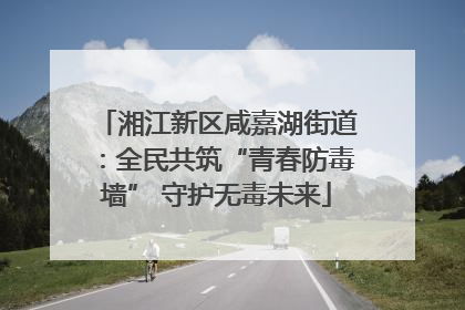 湘江新区咸嘉湖街道：全民共筑“青春防毒墙” 守护无毒未来