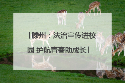 滕州：法治宣传进校园 护航青春助成长