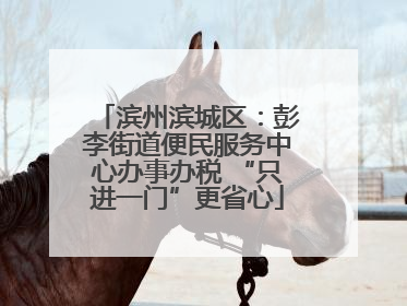 滨州滨城区：彭李街道便民服务中心办事办税 “只进一门”更省心