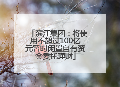 滨江集团：将使用不超过100亿元暂时闲置自有资金委托理财