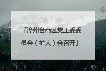 漳州台商区党工委委员会（扩大）会召开
