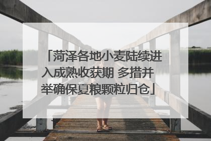 菏泽各地小麦陆续进入成熟收获期 多措并举确保夏粮颗粒归仓