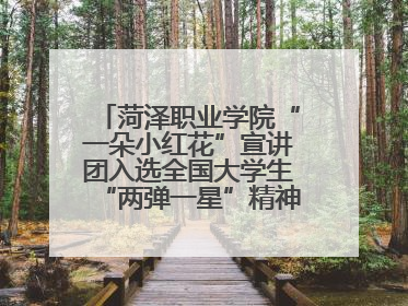 菏泽职业学院“一朵小红花”宣讲团入选全国大学生“两弹一星”精神宣讲团