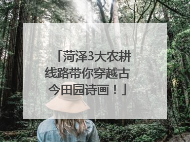 菏泽3大农耕线路带你穿越古今田园诗画！