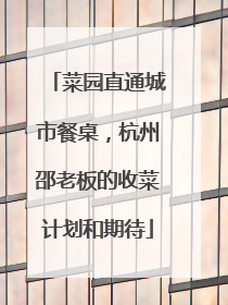 菜园直通城市餐桌，杭州邵老板的收菜计划和期待