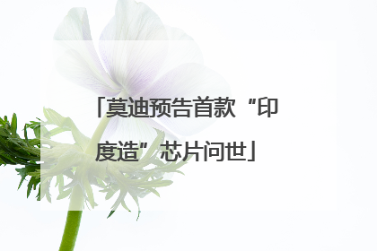 莫迪预告首款“印度造”芯片问世