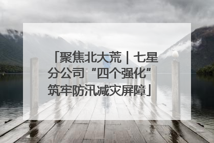 聚焦北大荒｜七星分公司“四个强化”筑牢防汛减灾屏障