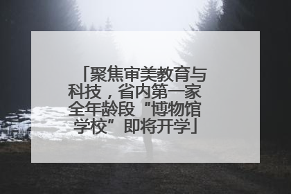 聚焦审美教育与科技，省内第一家全年龄段“博物馆学校”即将开学