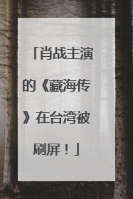 肖战主演的《藏海传》在台湾被刷屏！
