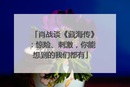 肖战谈《藏海传》：惊险、刺激，你能想到的我们都有