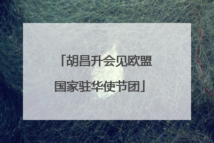 胡昌升会见欧盟国家驻华使节团
