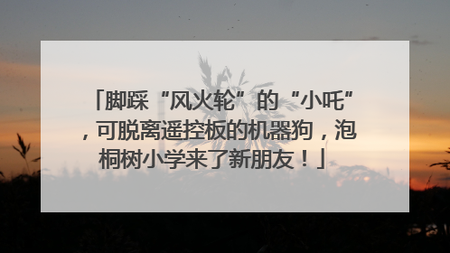 脚踩“风火轮”的“小吒”，可脱离遥控板的机器狗，泡桐树小学来了新朋友！