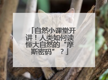 自然小课堂开讲！人类如何读懂大自然的“摩斯密码”？