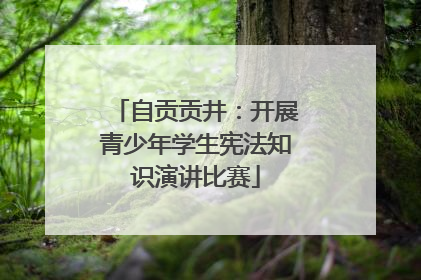 自贡贡井：开展青少年学生宪法知识演讲比赛