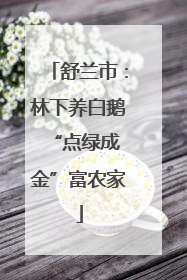 舒兰市：林下养白鹅 “点绿成金”富农家