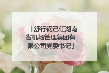舒行钢已任湖南省机场管理集团有限公司党委书记