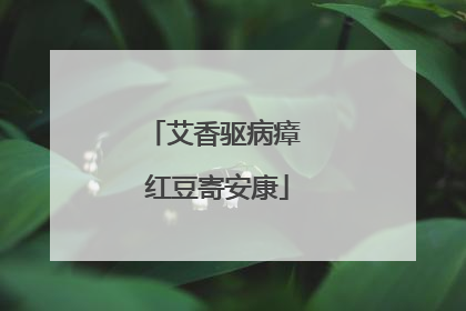 艾香驱病瘴 红豆寄安康