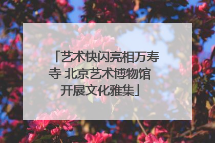 艺术快闪亮相万寿寺 北京艺术博物馆开展文化雅集