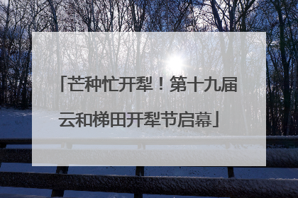 芒种忙开犁！第十九届云和梯田开犁节启幕